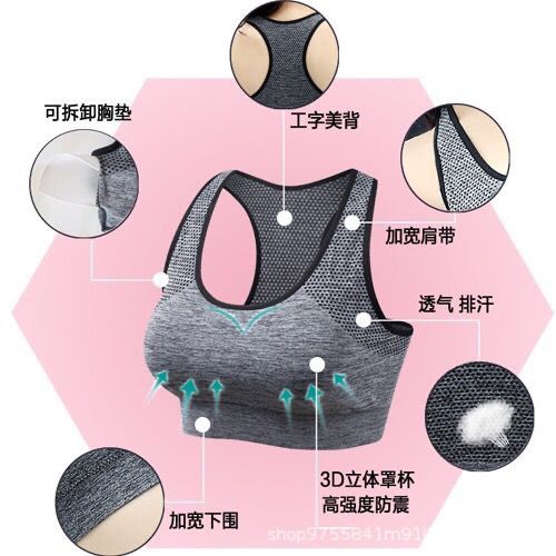 Semless Paded Sports Bra