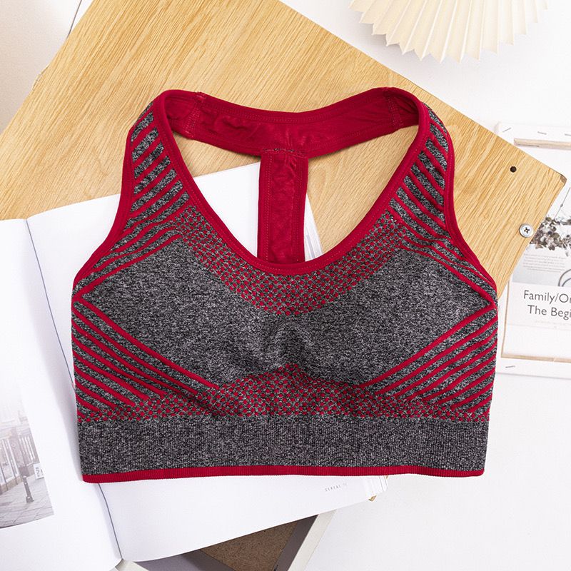 Semless Paded Sports Bra
