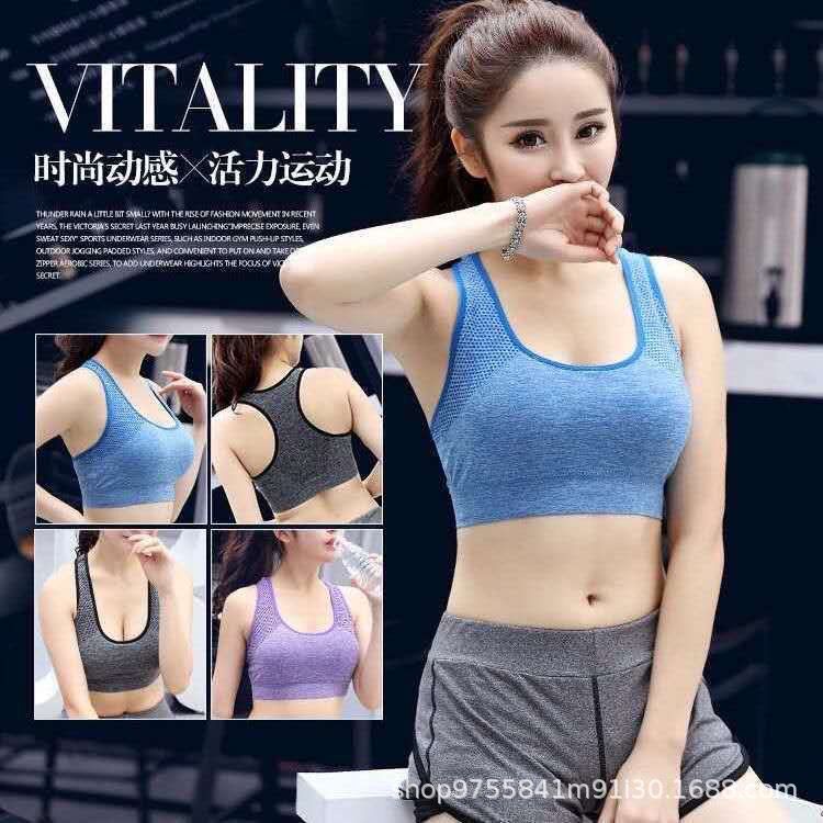 Semless Paded Sports Bra