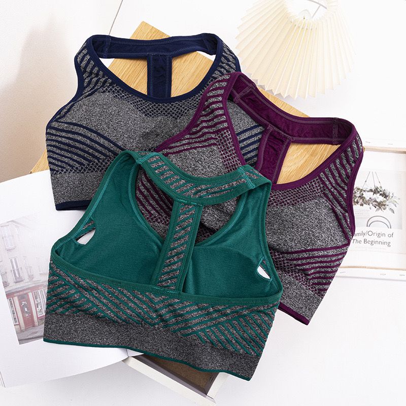 Semless Paded Sports Bra