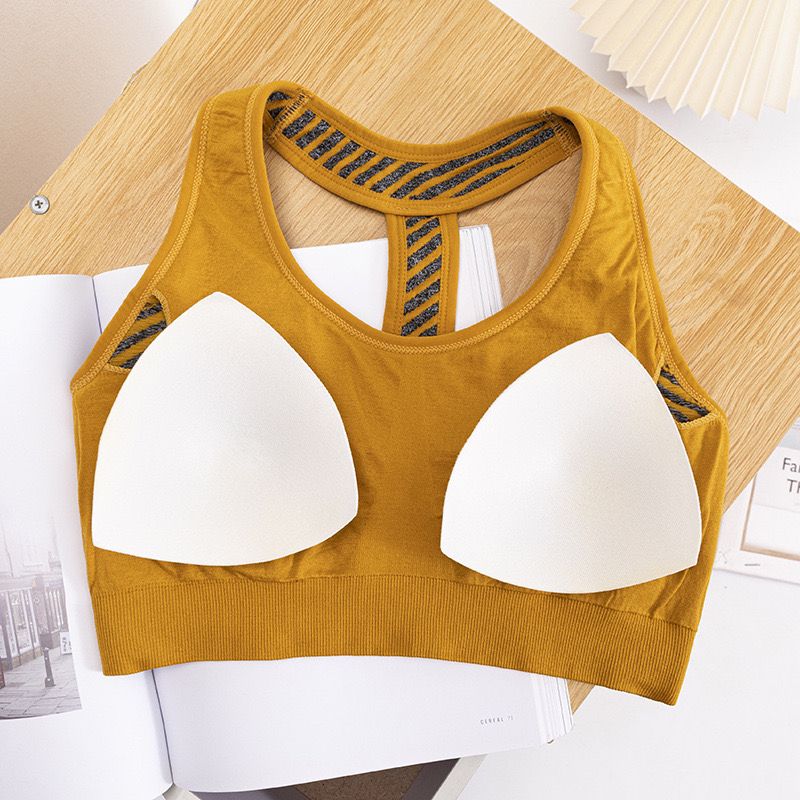 Semless Paded Sports Bra