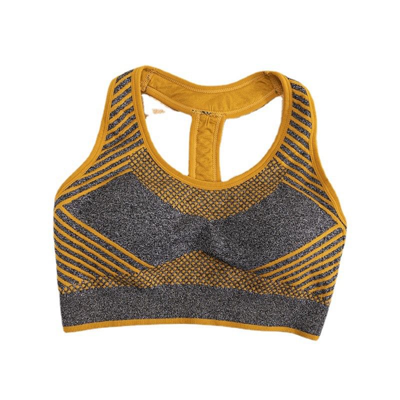 Semless Paded Sports Bra