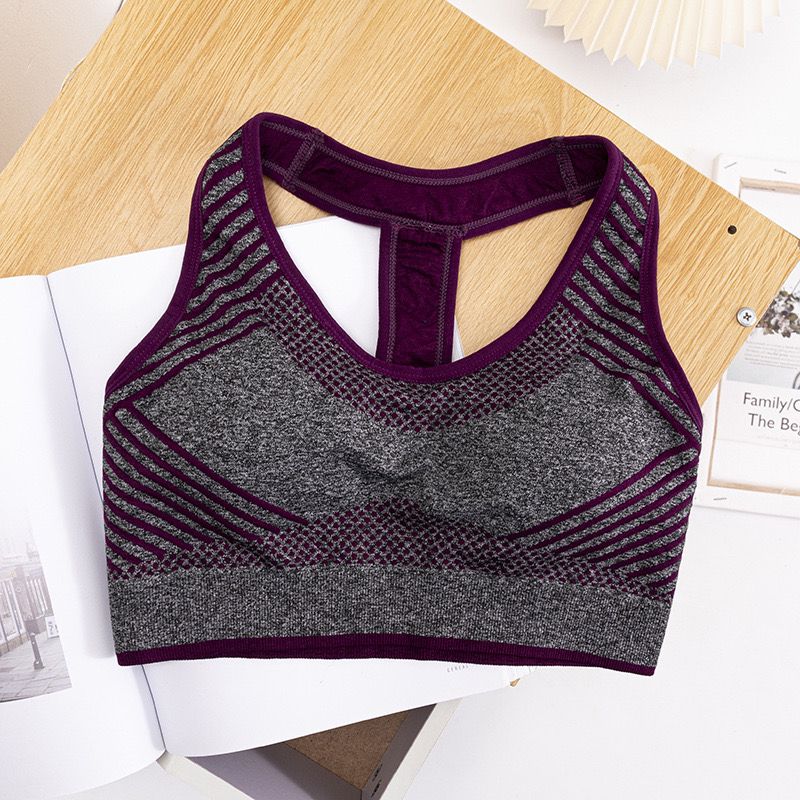 Semless Paded Sports Bra