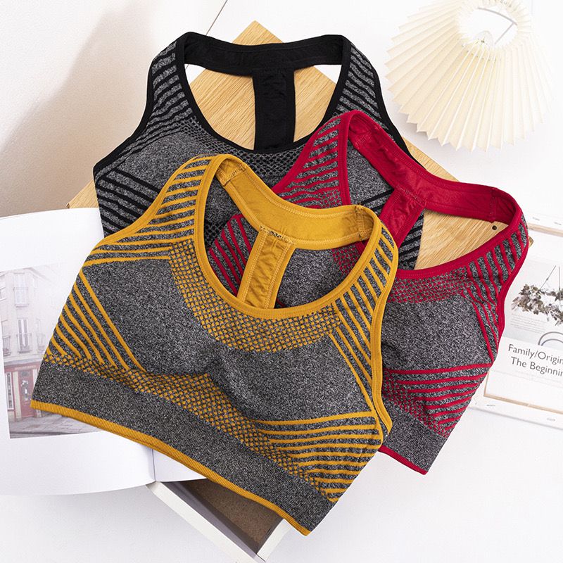 Semless Paded Sports Bra