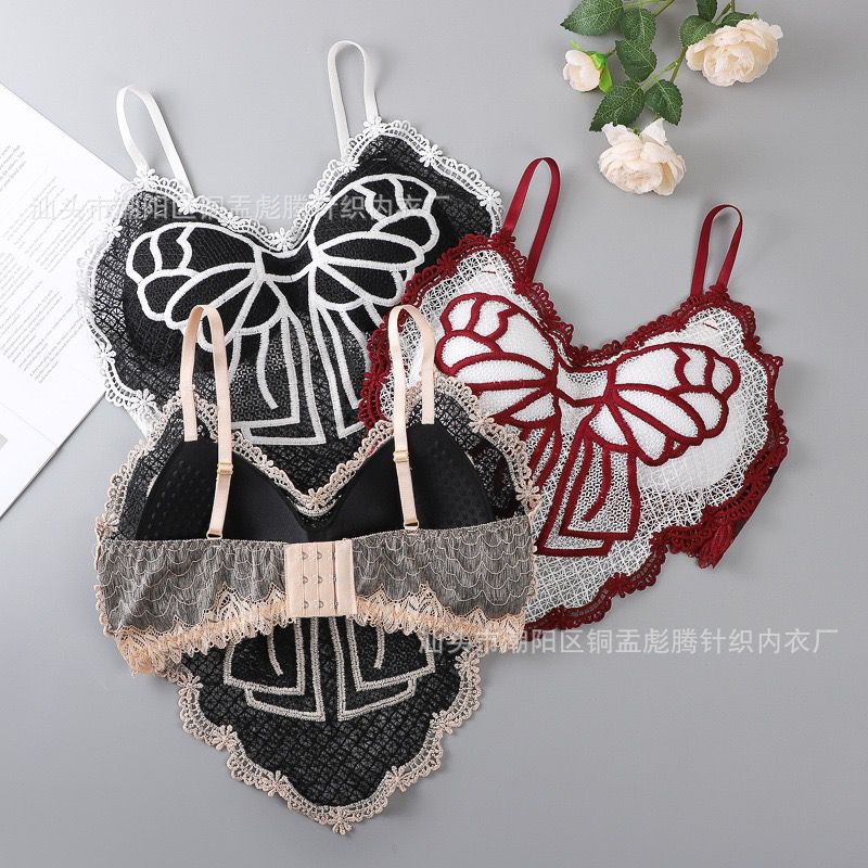 Deep V Lace Bra Crop Top
