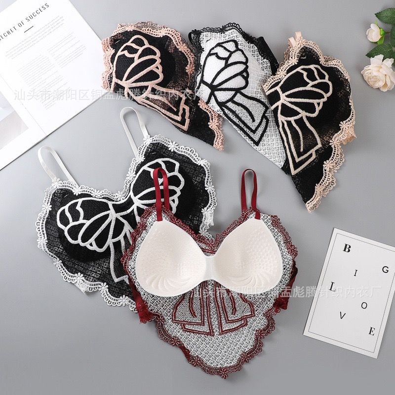 Deep V Lace Bra Crop Top