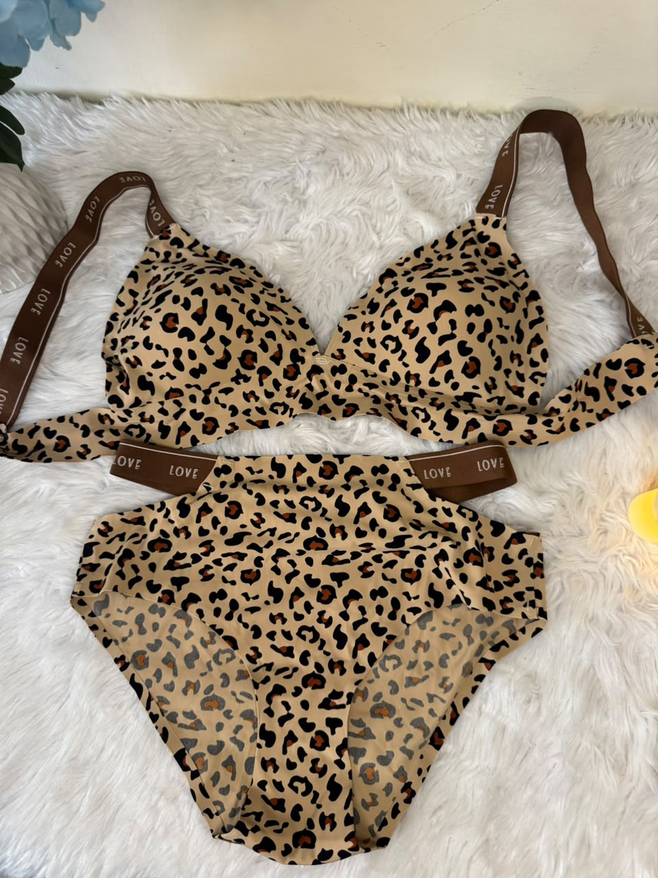 Leopard Love Seamless Bra Set